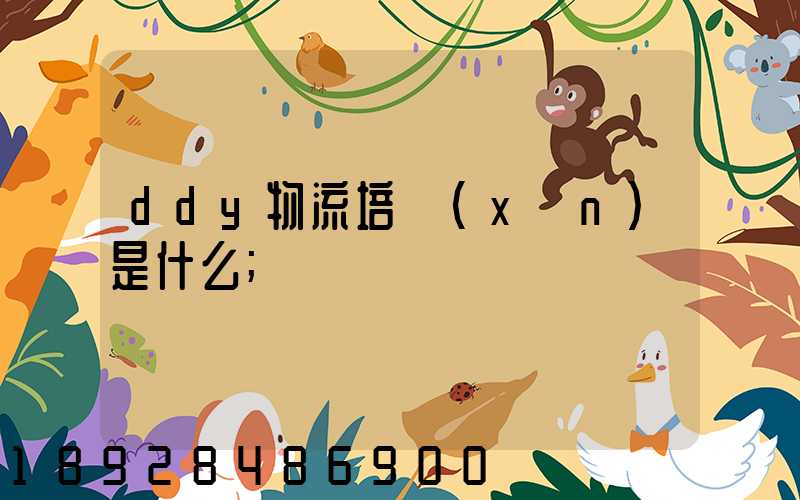 ddy物流培訓(xùn)是什么