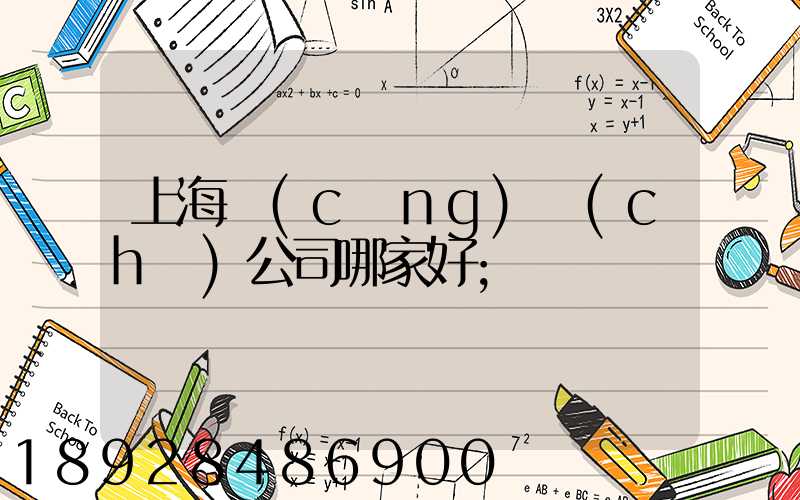 上海倉(cāng)儲(chǔ)公司哪家好