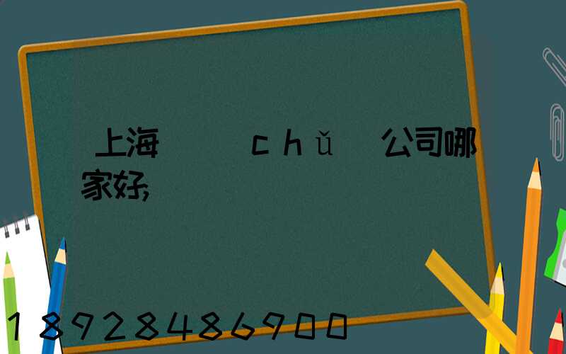 上海倉儲(chǔ)公司哪家好