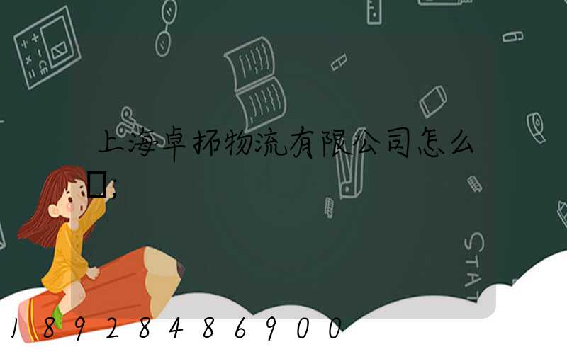 上海卓拓物流有限公司怎么樣