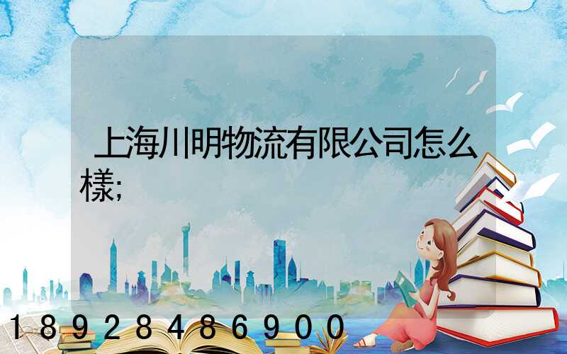 上海川明物流有限公司怎么樣