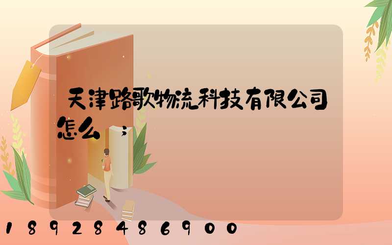 天津路歌物流科技有限公司怎么樣