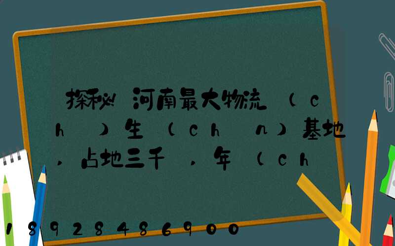 探秘!河南最大物流車(chē)生產(chǎn)基地,占地三千畝,年產(chǎn)30萬(wàn)輛