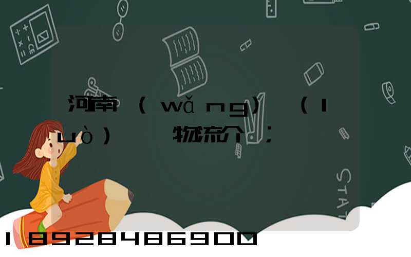 河南網(wǎng)絡(luò)運輸物流介紹