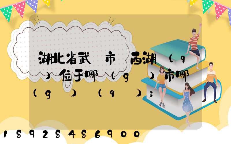 湖北省武漢市東西湖區(qū)位于哪個(gè)市哪個(gè)區(qū)