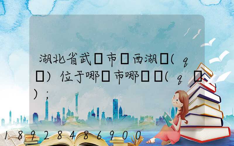 湖北省武漢市東西湖區(qū)位于哪個市哪個區(qū)