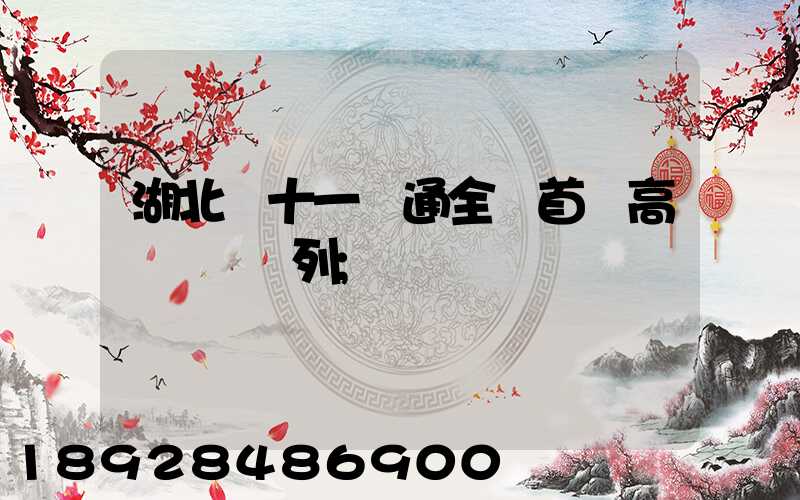 湖北雙十一開通全國首條高鐵貨運專列