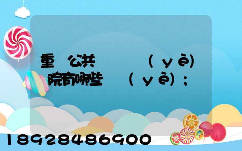 重慶公共運輸職業(yè)學院有哪些專業(yè)