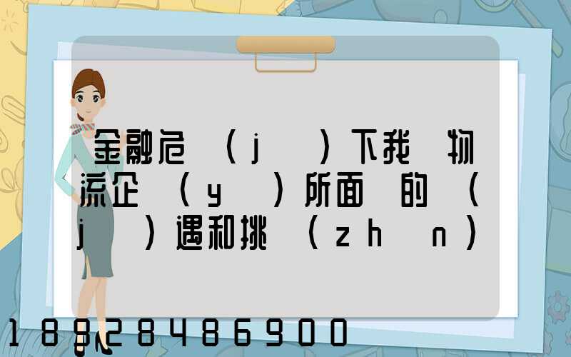 金融危機(jī)下我國物流企業(yè)所面對的機(jī)遇和挑戰(zhàn)